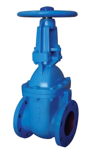 RISING STEM GATE VALVE (BS EN 1171)